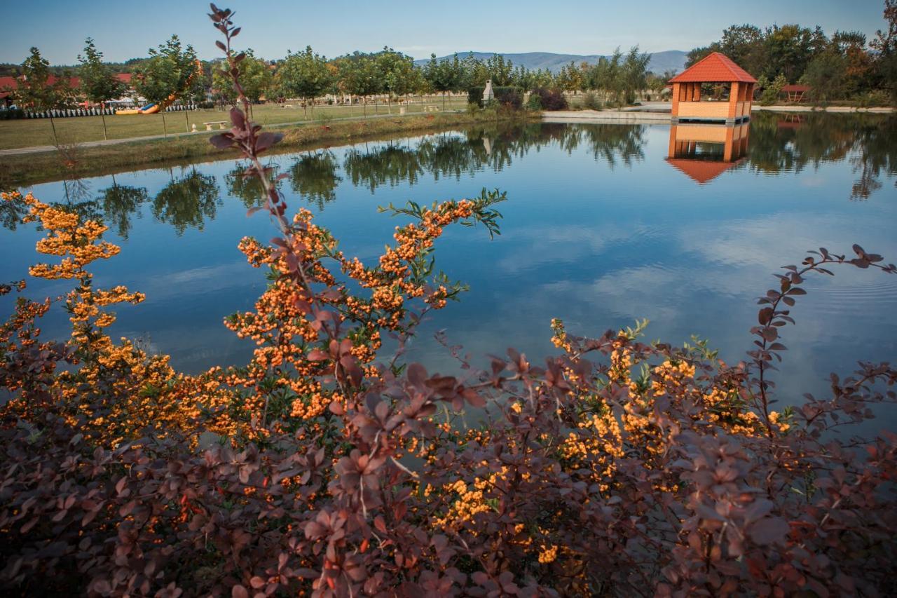 Illara Hotel